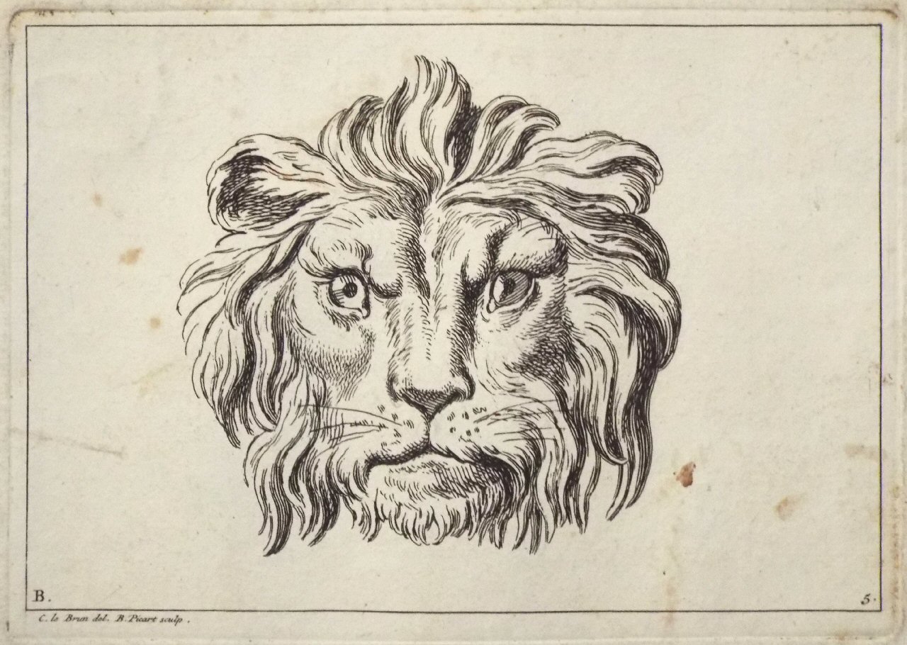 Etching - B. 5. Lion's face - Picart